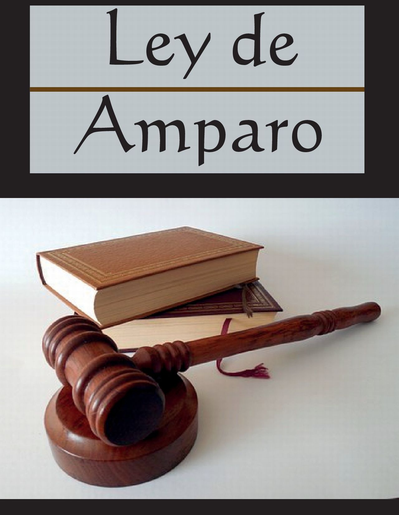 Juicio De Amparo 4496 Hot Sex Picture